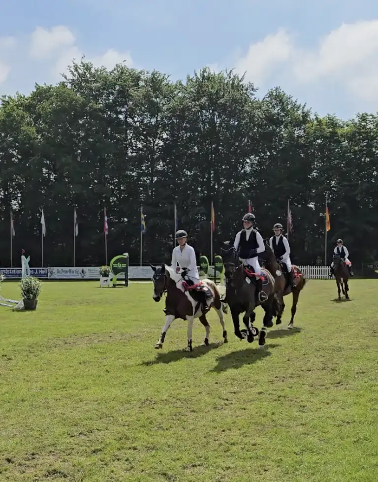 Verschiedene Reiterinnen und Reiter reiten auf ihren Pferden in den Parcours der Röschmann TEAM TROPHY